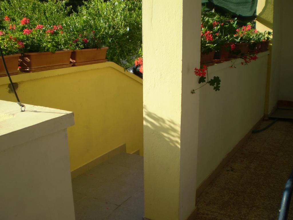 Sukošan Apartments Kocijan מראה חיצוני תמונה